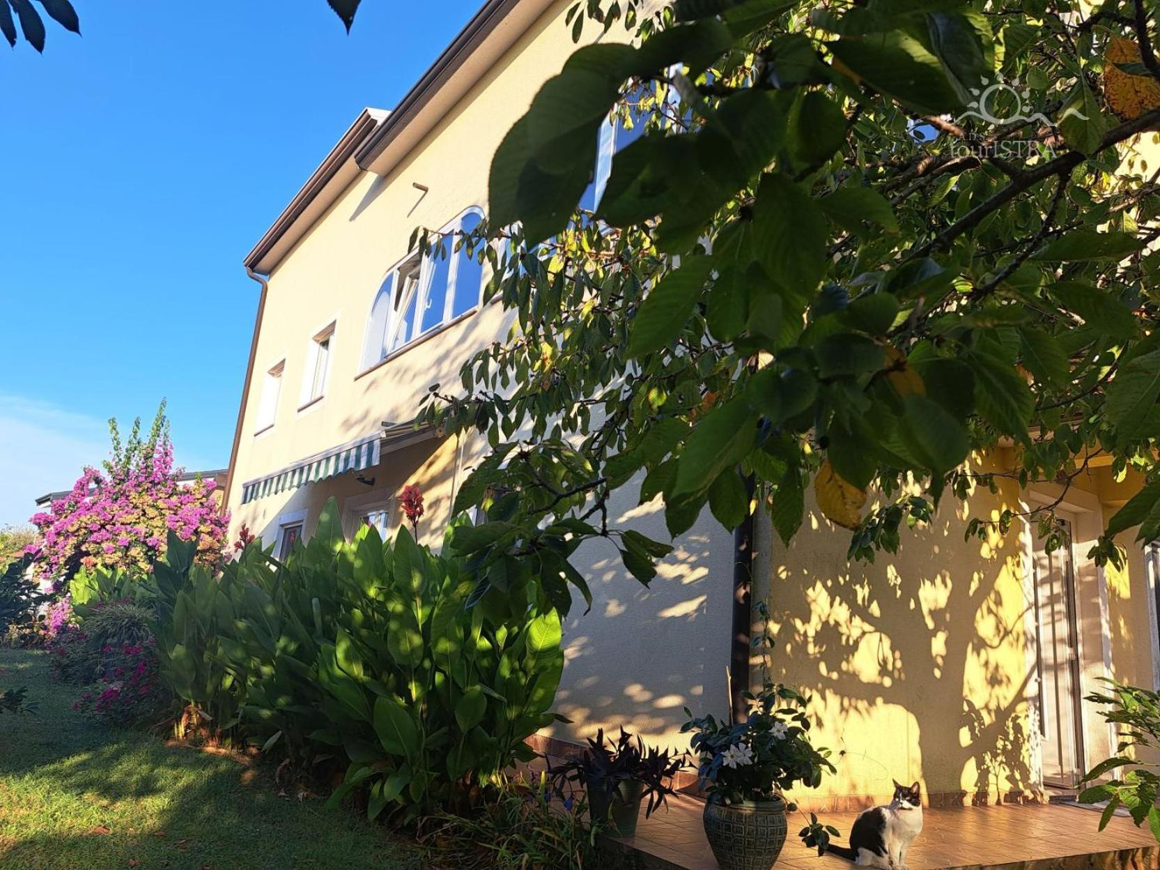 Bozica House With Apartments Murine エクステリア 写真